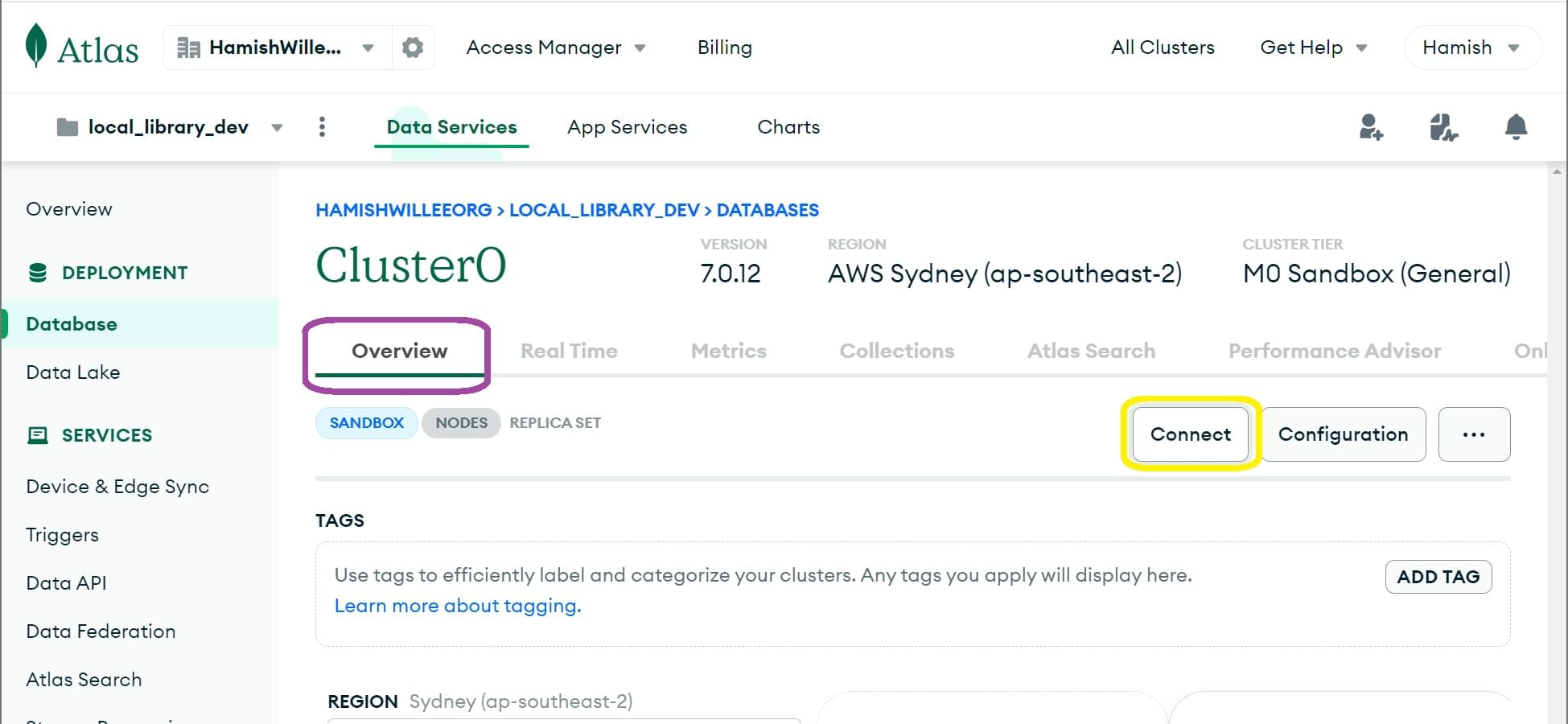 在 MongoDB Atlas 中设置集群后配置连接。